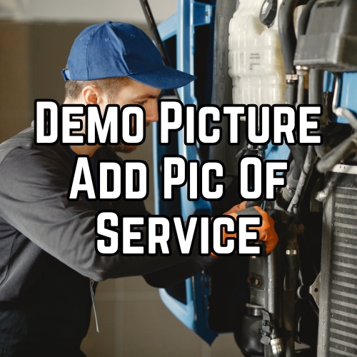 DEMO-PIC-Add-Pic-Of-Service-1.jpg
